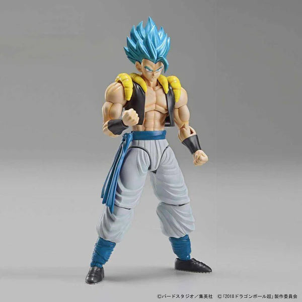 DRAGON BALL - FIGURERISE STANDARD SUPER SAIYAN GOD SUPER SAIYAN GOGETA