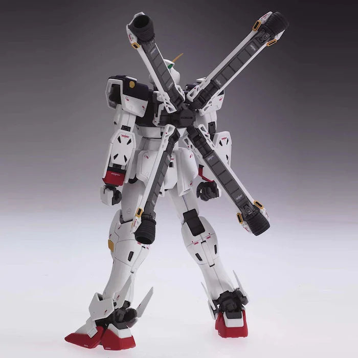 GUNDAM - MG 1/100 CROSSBONE GUNDAM X1 ver.Ka