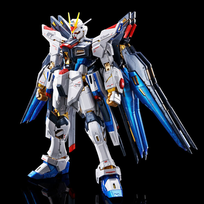 (PREMIUM-BANDAI) GUNDAM - RG 1/144 STRIKE FREEDOM GUNDAM [TITANIUM FINISH]