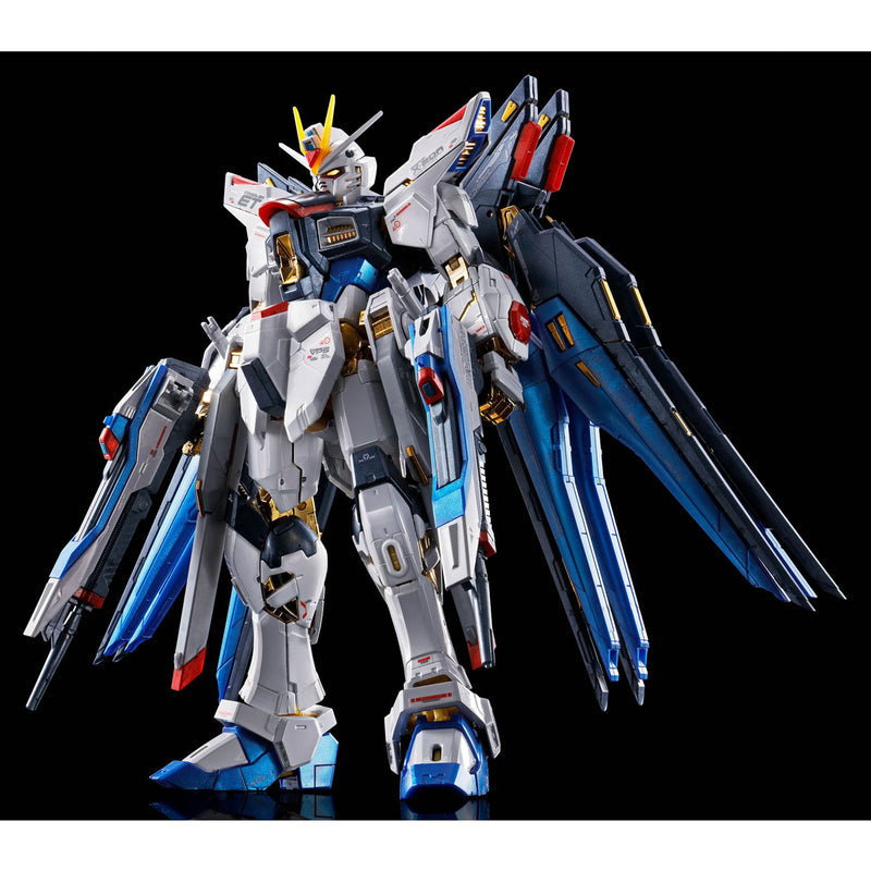 (PREMIUM-BANDAI) GUNDAM - RG 1/144 STRIKE FREEDOM GUNDAM [TITANIUM FINISH]