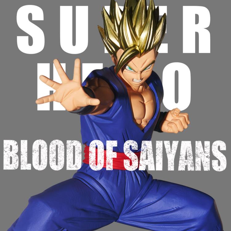 DRAGON BALL SUPER: SUPER HERO BLOOD OF SAIYANS SPECIALXIII