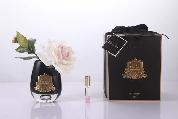 COTE NOIRE - TEAR DROP TEA ROSE IN BLACK GLASS - PINK BLUSH - STR04