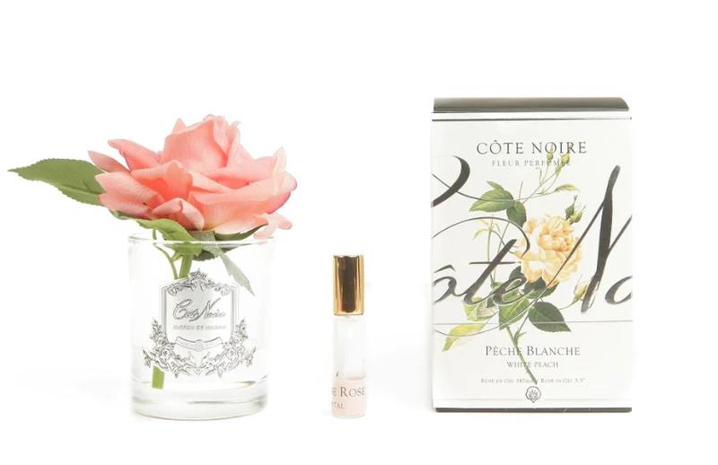 CÔTE NOIRE PERFUMED NATURAL TOUCH SINGLE ROSE - CLEAR - WHITE PEACH - GMR05